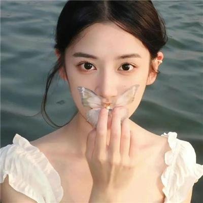 我的家乡在陕西第二季